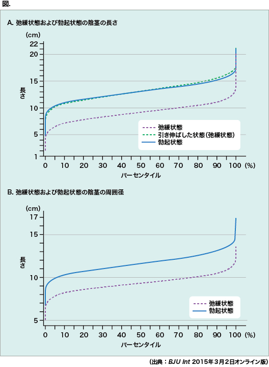 Ed Agaの治療および薬の院内処方 公式 静岡第一クリニック 男なら皆興味ある 陰茎 サイズの客観的指標となるノモグラムを作成 メディカルトリビューンより